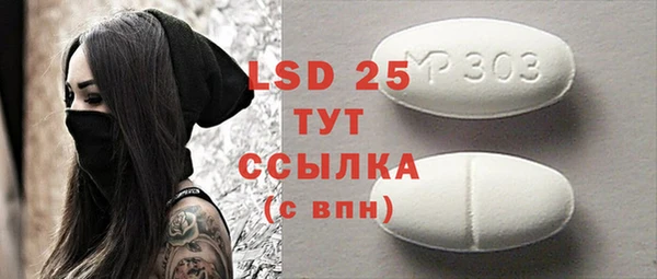ГАЛЛЮЦИНОГЕННЫЕ ГРИБЫ Богданович