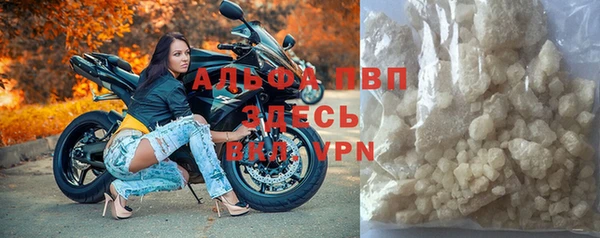 ГАЛЛЮЦИНОГЕННЫЕ ГРИБЫ Богданович
