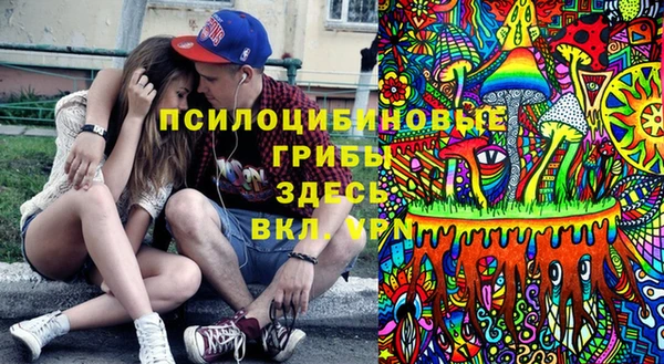 ГАЛЛЮЦИНОГЕННЫЕ ГРИБЫ Богданович