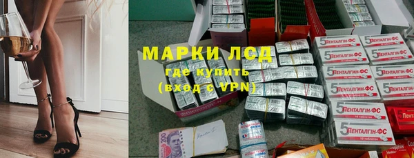 ГАЛЛЮЦИНОГЕННЫЕ ГРИБЫ Богданович