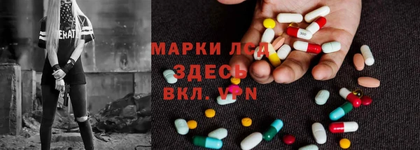 ГАЛЛЮЦИНОГЕННЫЕ ГРИБЫ Богданович